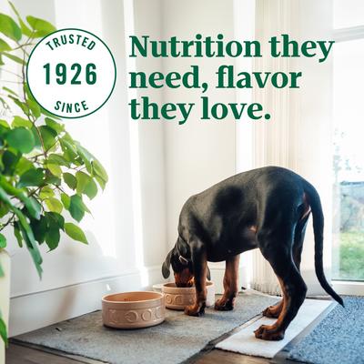 Show full view: Nutro Ultra Puppy Large Breed High Protein Trio of Proteins Chicken, Lamb & Salmon Dry Dog Food, 27-lb bag slide 6 of 11