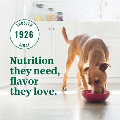 Show full view: Nutro Ultra Adult High Protein Trio of Proteins Chicken, Lamb & Salmon Dry Dog Food, 4-lb bag slide 6 of 11