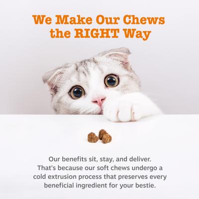 Show full view: Zesty Paws Aller-Immune Bites Bacon Flavored Lysine Supplement for Cats, 60 count slide 9 of 12