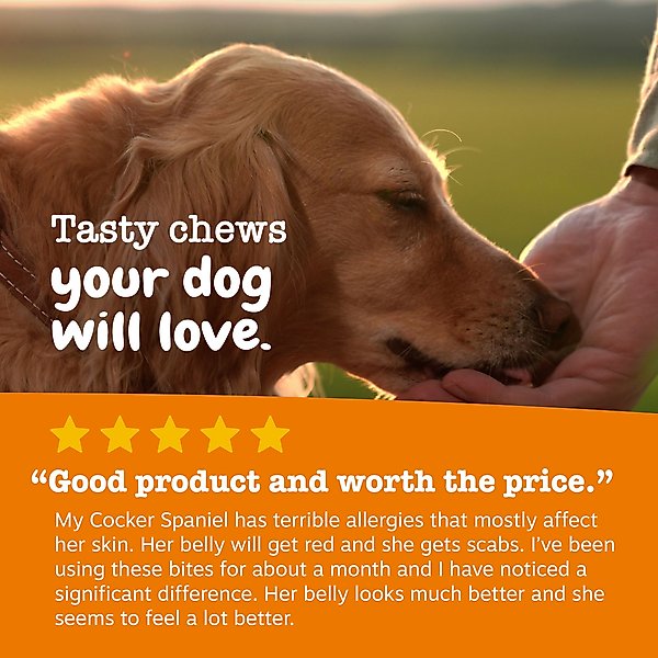 Show full view: Zesty Paws Allergy & Immune Bites Allergies, Immune, & Gut Support Peanut Butter Flavored Soft Chews Supplement for Dogs, 90 count slide 6 of 11