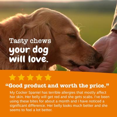 Show full view: Zesty Paws Advanced Allergy & Immune Bites Salmon Flavored Soft Chews Allergies, Immune, & Skin Support Supplement for Senior Dogs, 90 count slide 6 of 11