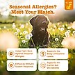 Show in main carousel: Zesty Paws Allergy & Immune Bites Lamb Flavored Soft Chews Allergies, Immune, & Gut Support Supplement for Dogs, 90 count slide 2 of 11
