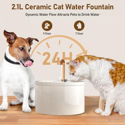 EOX Ceramic Cat Water Fountain