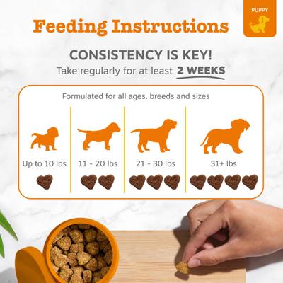 Show full view: Zesty Paws Probiotic Pumpkin Flavored Soft Chews Gut Health Supplement for Puppies, 90 count slide 5 of 9