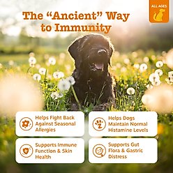 Zesty Paws Ancient Elements Aller-Immune Bites Bison Flavored Soft Chews Allergy & Immune Supplement for Dogs, 90 count slide 2 of 9