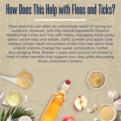 Show full view: Healthy Pup Peanut Butter Flavored Soft Chews Flea & Tick Oral Treatment for Dogs, 90 count slide 4 of 8