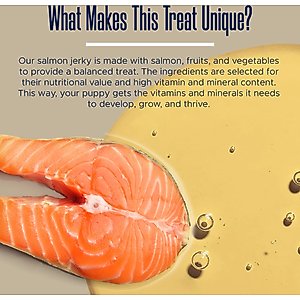 Healthy Pup Smarty Pup Puppy Wild Alaskan Salmon Limited Ingredient Jerky Dog Treats, 5-oz bag