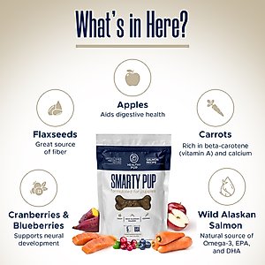 Healthy Pup Smarty Pup Puppy Wild Alaskan Salmon Limited Ingredient Jerky Dog Treats, 5-oz bag