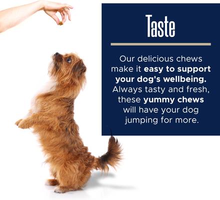 Show full view: Healthy Pup Anxiety Soft Chews Calming Supplement for Dogs, 60 Count slide 6 of 11