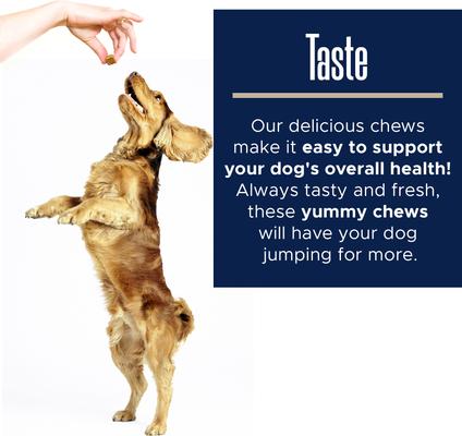 Show full view: Healthy Pup Multi Max All-In-One Dog Multivitamin, 120 count slide 8 of 9