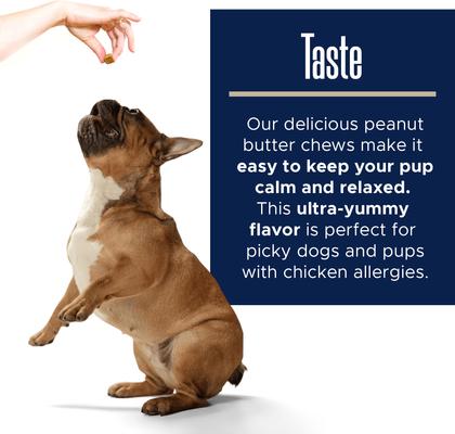 Show full view: Healthy Pup Calming Peanut Butter Bliss Dog Supplement, 60 count slide 6 of 10