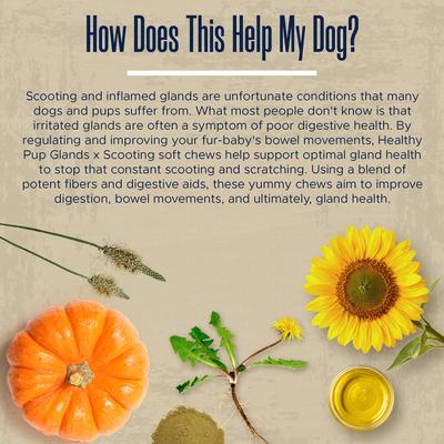 Show full view: Healthy Pup Glands Bowel Support Soft Chew Digestive Supplement for Dogs, 120 count slide 5 of 10