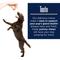 Show in main carousel: Healthy Pup Glands Bowel Support Soft Chew Digestive Supplement for Dogs, 120 count slide 6 of 10