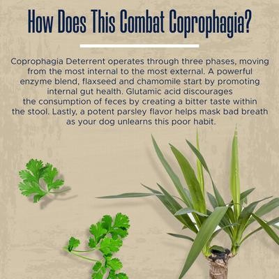 Show full view: Healthy Pup Stool Eating Deterrent Soft Chew Supplement for Dogs, 120 count slide 7 of 11