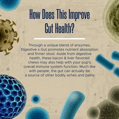 Show full view: Healthy Pup Probiotic Soft Chews Digestive Aid for Dogs, 120 count slide 7 of 10