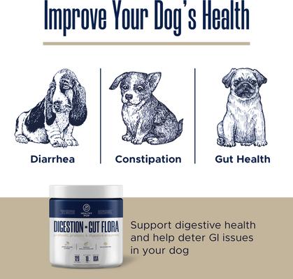 Show full view: Healthy Pup Probiotic Soft Chews Digestive Aid for Dogs, 120 count slide 4 of 10