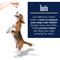 Show in main carousel: Healthy Pup Omega Soft Chews Skin & Coat Supplement for Dogs, 180 Count slide 6 of 11