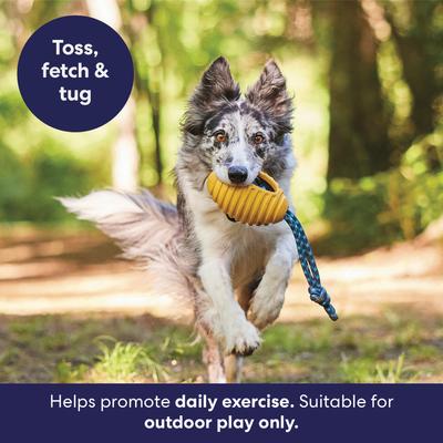 Show full view: Frisco Tug & Fetch Rubber & Rope Football Dog Toy, Medium/Large slide 7 of 11