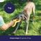 Show in main carousel: Frisco Dual Handle Tug Tough Rubber Dog Toy, Medium/Large slide 6 of 10