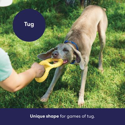 Show full view: Frisco Dual Handle Tug Tough Rubber Dog Toy, Medium/Large slide 6 of 10