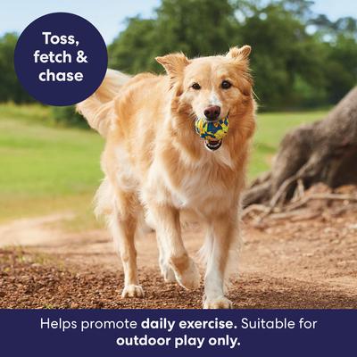 Show full view: Frisco Fetch Tough Textured Rubber Ball Dog Toy, Medium slide 6 of 10