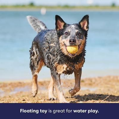 Show full view: Frisco Fetch Floating Rubber Ball Dog Toy, Medium slide 6 of 10