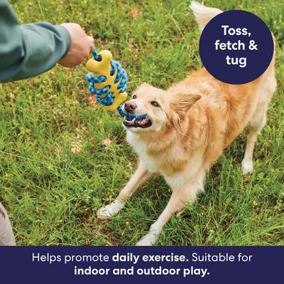 Show full view: Frisco Fetch Rubber Bone with Rope Dog Toy, Medium/Large slide 7 of 11