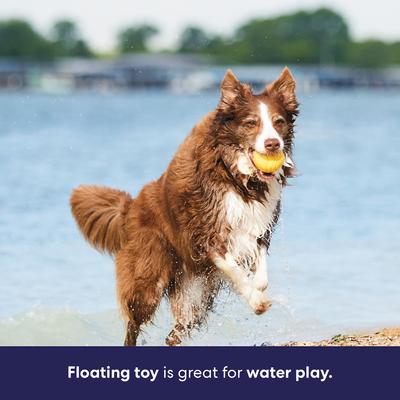 Show full view: Frisco Fetch Floating Rubber Ball Dog Toy, Large slide 5 of 9