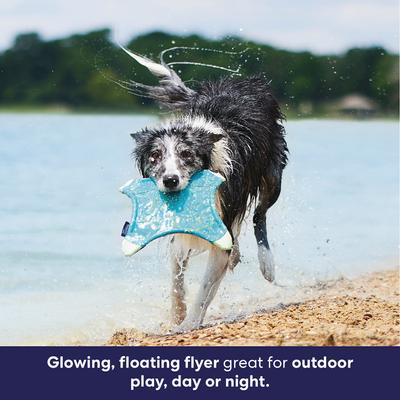 Show full view: Frisco Fetch Lightweight Floating Glow in the Dark Fabric Quad Flyer Dog Toy, Medium/Large slide 5 of 8