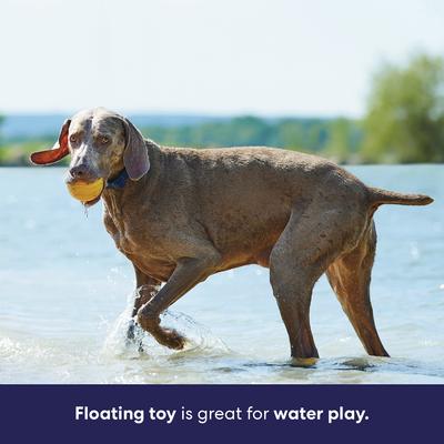 Show full view: Frisco Fetch Floating Rubber Ball Dog Toy, X-Large slide 5 of 9