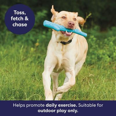 Show full view: Frisco Fetch Rubber Stick Dog Toy, Medium/Large slide 5 of 8