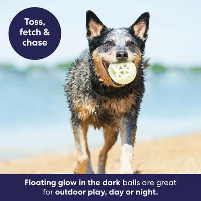 Show full view: Frisco Fetch Glow in the Dark TPR Lattice Ball Dog Toy, Small/Medium slide 6 of 10