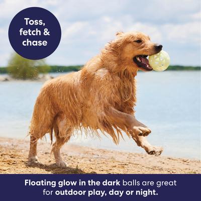 Show full view: Frisco Fetch Glow in the Dark TPR Lattice Ball Dog Toy, Medium/Large slide 5 of 9