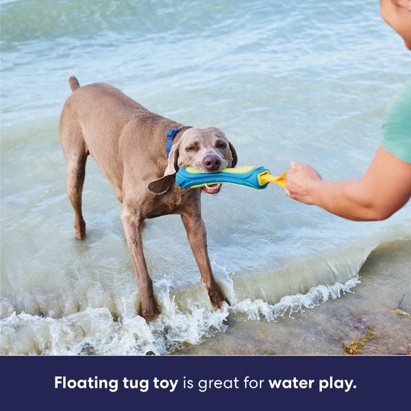 Frisco Tug & Fetch Floating TPR Bumper with Handle Dog Toy
