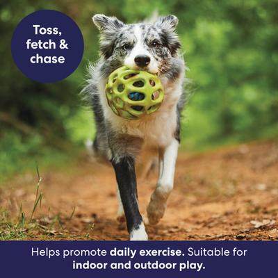 Show full view: Frisco Fetch Rubber with Rope Ball Dog Toy, Medium/Large slide 5 of 9