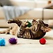Show in main carousel: Turbo Glitter Pom Pom Ball Cat Toy, 4 count slide 4 of 5
