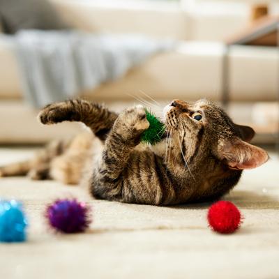 Show full view: Turbo Glitter Pom Pom Ball Cat Toy, 4 count slide 4 of 5