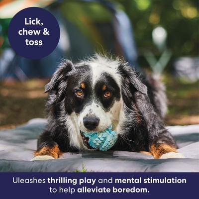 Show full view: Frisco Textured Tough Rubber Treat Dispenser Dog Toy, Medium/Large slide 6 of 10