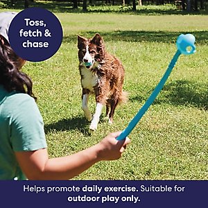 Frisco Fetch Ball Launcher with Squeaky Tennis Ball Dog Toy, Medium