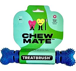 Chewmate Natural Rubber Treatbrush Oral Care Bone Dog Toothbrush, Medium/Large