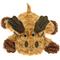 Show in main carousel: Patchwork Pet Swirl Moose Dog Toy, 8-in slide 1 of 2
