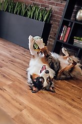 Patchwork Pet Prickles Cactus with Cactus Dog Toy, 5-in slide 2 of 6