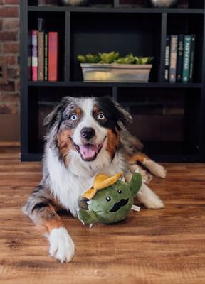 Show full view: Patchwork Pet Prickles Cactus with Cactus Dog Toy, 5-in slide 4 of 6