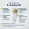 Show in main carousel: AnimalBiome S. boulardii + FOS Powder Supplement for Dogs & Cats, 60g bag slide 8 of 11