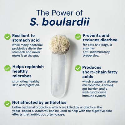 Show full view: AnimalBiome S. boulardii + FOS Powder Supplement for Dogs & Cats, 60g bag slide 8 of 11