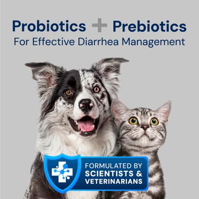 Show full view: AnimalBiome S. boulardii + FOS Powder Supplement for Dogs & Cats, 60g bag slide 3 of 11