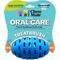 Show in main carousel: Chewmate Natural Rubber Treatbrush Oral Care Football Dog Toothbrush, Large slide 1 of 4