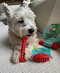 Chewmate Natural Rubber Treatbrush Oral Care Football Dog Toothbrush, Small slide 2 of 7