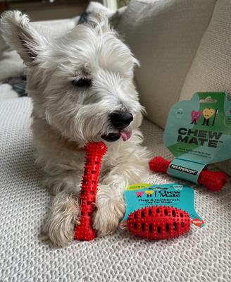 Show full view: Chewmate Natural Rubber Treatbrush Oral Care Bone Dog Toothbrush, Small slide 3 of 5
