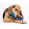 Show in main carousel: Chewmate Natural Rubber Treatbrush Oral Care Bone Dog Toothbrush, Medium/Large slide 5 of 7